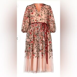 Jessakae Holly Dress worn only 1 time